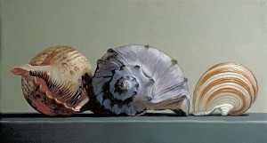 3 shells painting by Peter Woodward