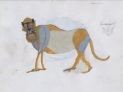 Standing-macaque-gouache-by-HENRI-SAMOUILOV1