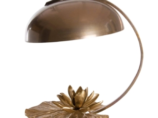 Chrystiane Charles nenuphar coupelle desk lamp Chrystiane Charles nenuphar coupelle desk lamp