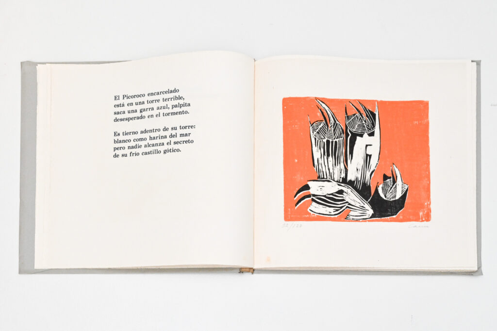 Maremoto by Pablo Neruda 19
