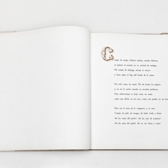 NERUDA, Pablo. 20 poemas de amor y una cancion desesperada 13