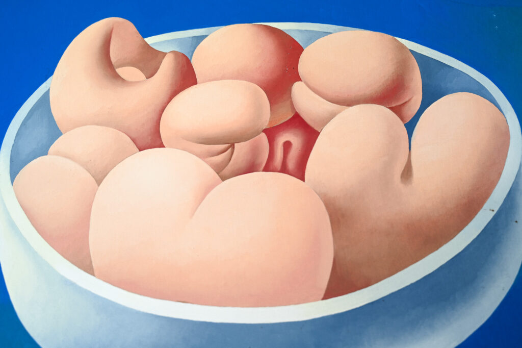 Erotic fruit still life by Mario Carreño 13