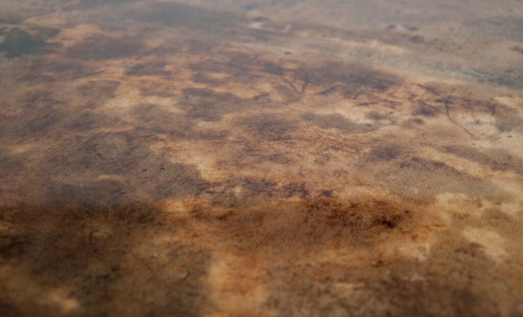 Aldo Tura low table-9