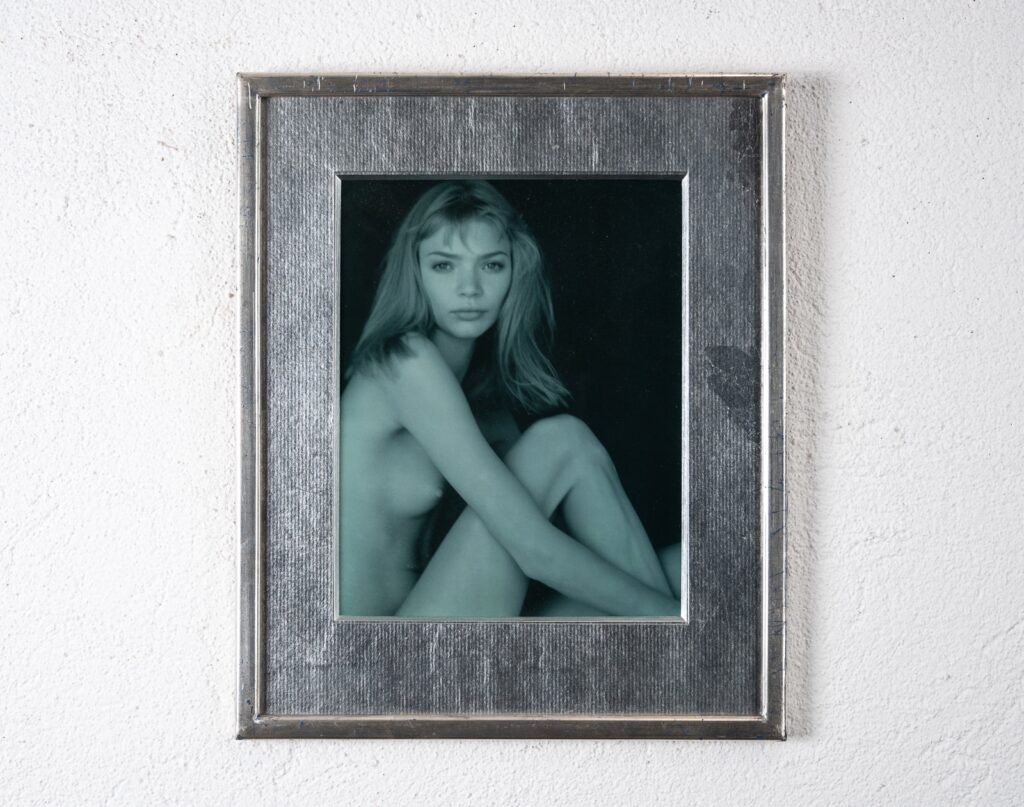 Jodie-Kidd-framed-frame-31cm-wide-x-38cm-high-image-19.5cm-wide-x-25cm-high1