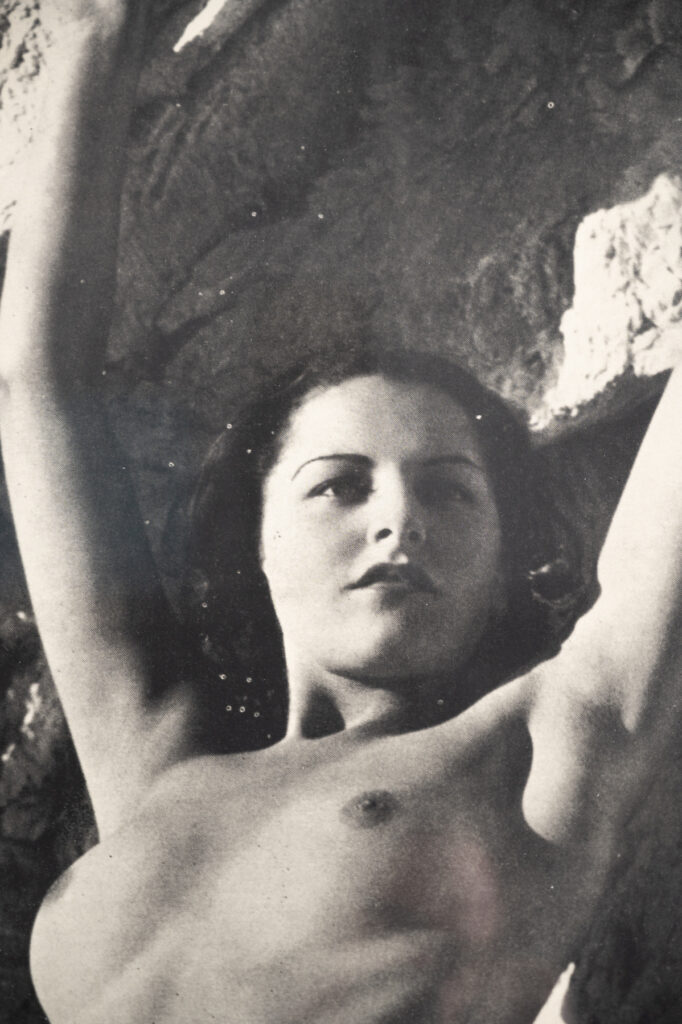 N-is-for-nude-by-Peter-Blake-1