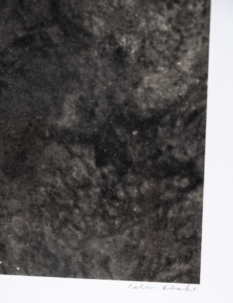 N-is-for-nude-by-Peter-Blake-5