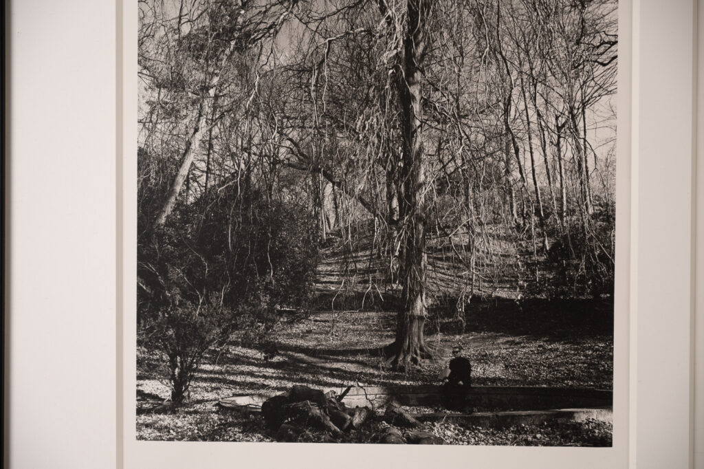 Original-pair-of-photograph-portraits-of-KL-Eric-by-Karl-Lagerfeld3