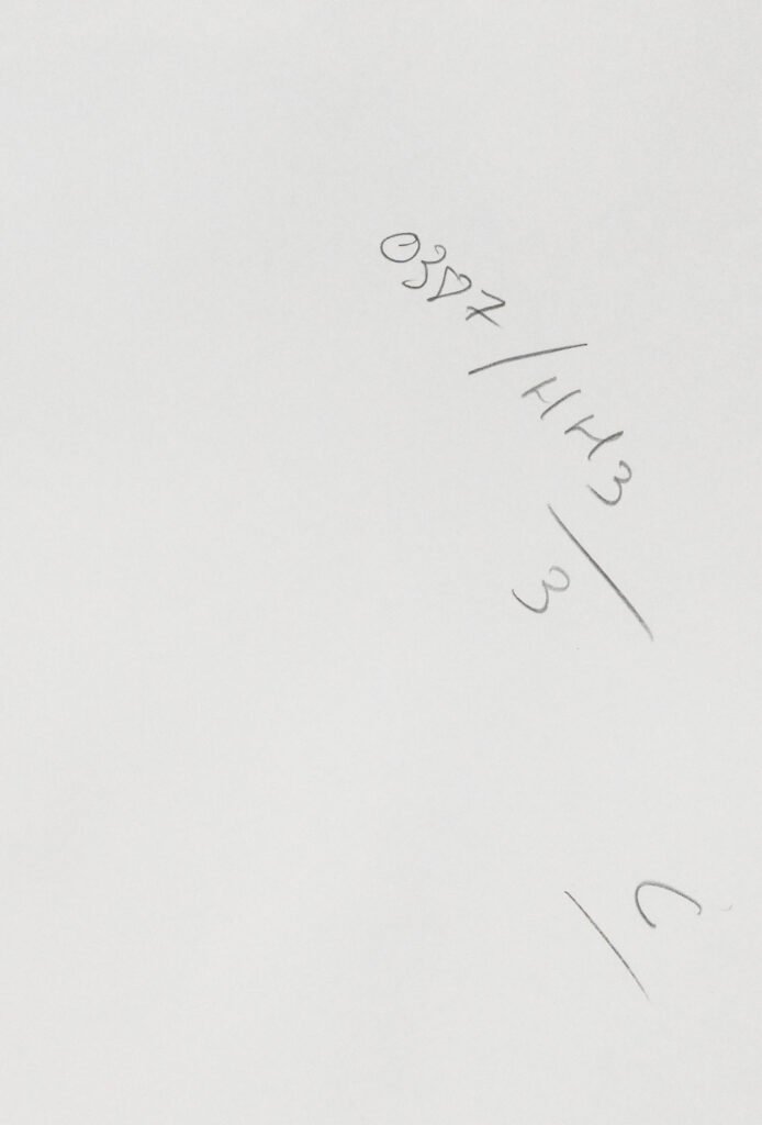 Original photograph of Cameron Alborzian by Karl Lagerfeld