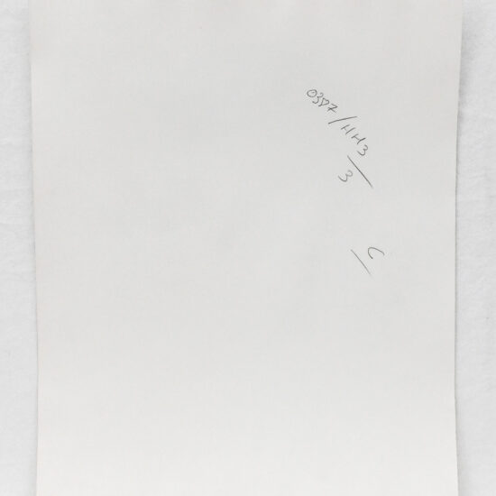Original photograph of Cameron Alborzian by Karl Lagerfeld