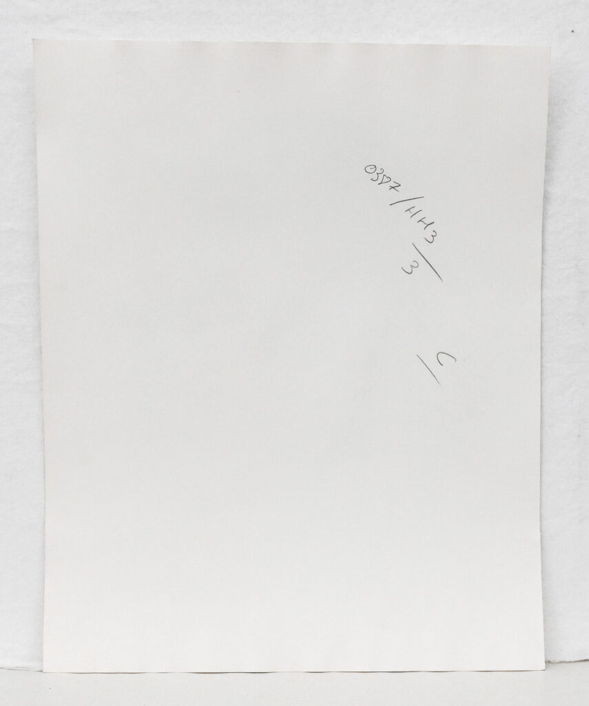 Original photograph of Cameron Alborzian by Karl Lagerfeld