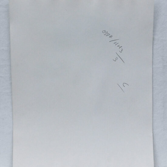 Original-photograph-of-Cameron-Alborzian-by-Karl-Lagerfeld-03