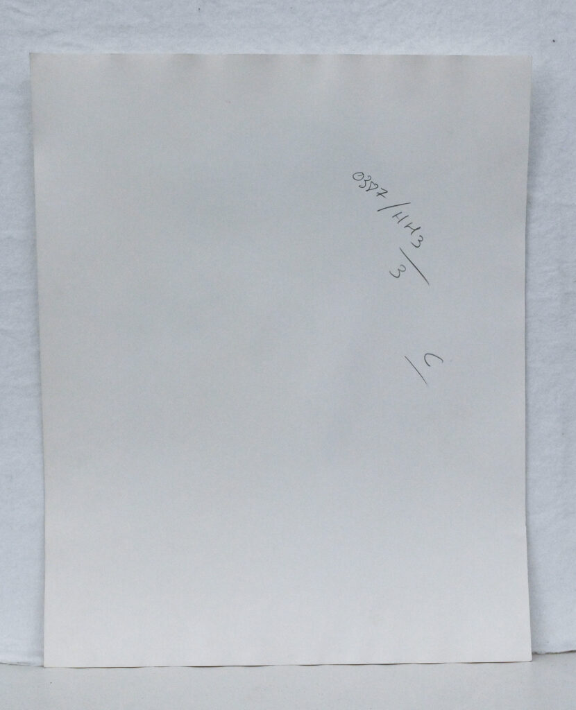 Original-photograph-of-Cameron-Alborzian-by-Karl-Lagerfeld-03