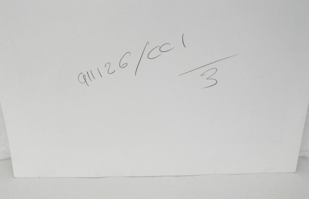 Original-photograph-of-Claudia-Schiffer-with-Cameron-Alborzian-by-Karl-Lagerfeld-12