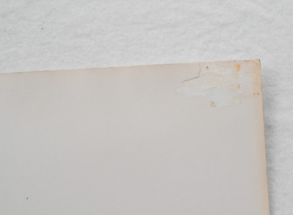 Original-photograph-of-model-in-the-woods-by-Bruce-Weber-1-02