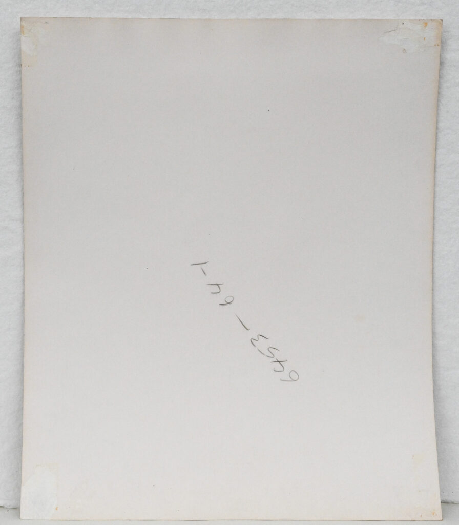 Original-photograph-of-model-in-the-woods-by-Bruce-Weber-1-07