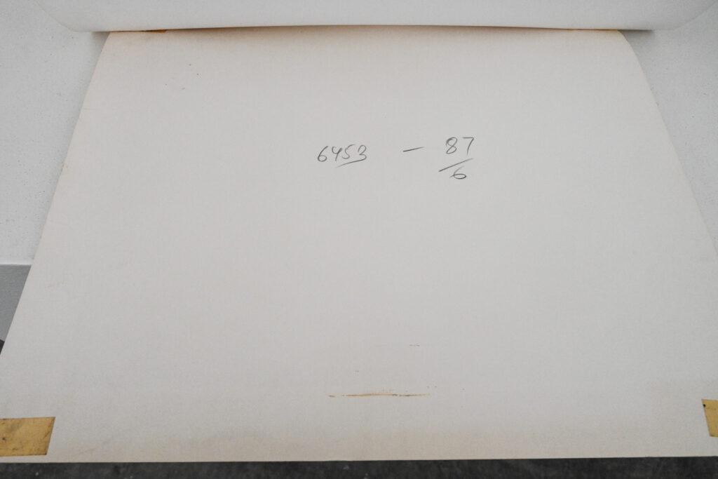 Original-photograph-of-model-in-the-woods-by-Bruce-Weber-4-01