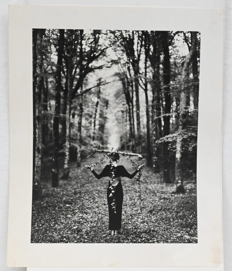 Original-photograph-of-model-in-the-woods-by-Bruce-Weber-4-08