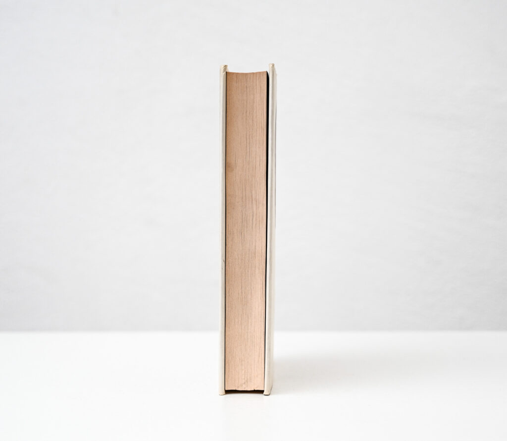 Signed-edition-of-Naomi-Campbells-novel-Swan-2