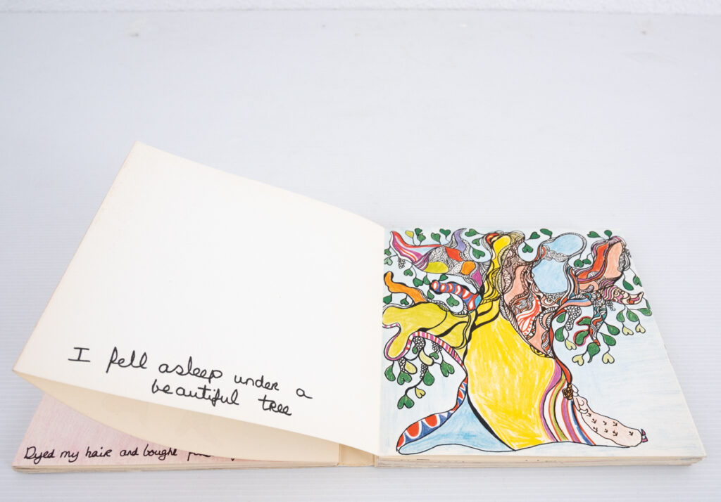 collection-of-Niki-de-Sainte-Phalle-books29