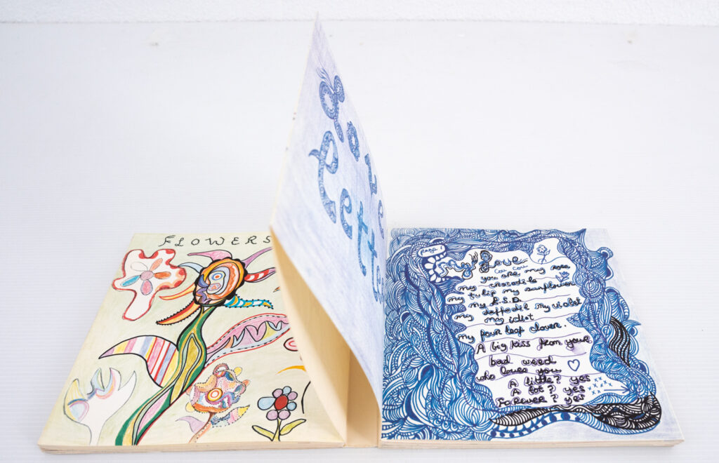 collection-of-Niki-de-Sainte-Phalle-books30