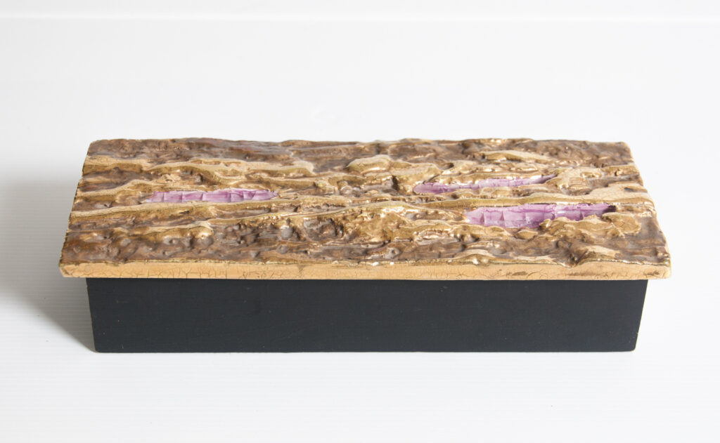 large covered box by François Lembo-1