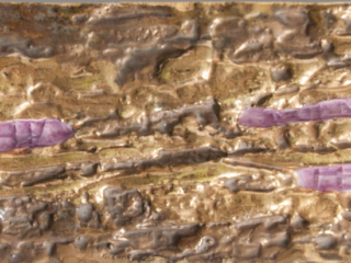 large covered box by François Lembo-2