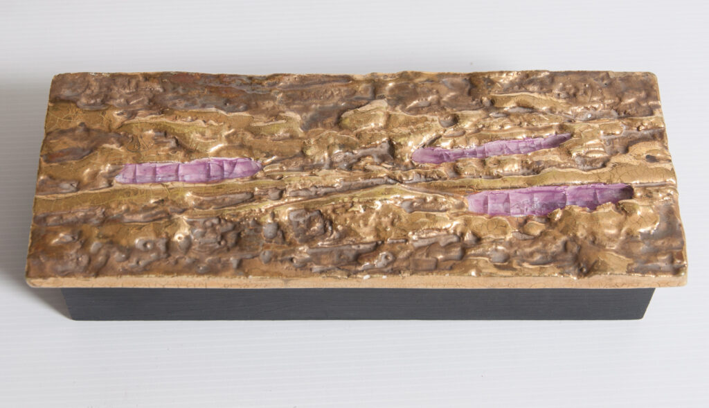 large covered box by François Lembo-6