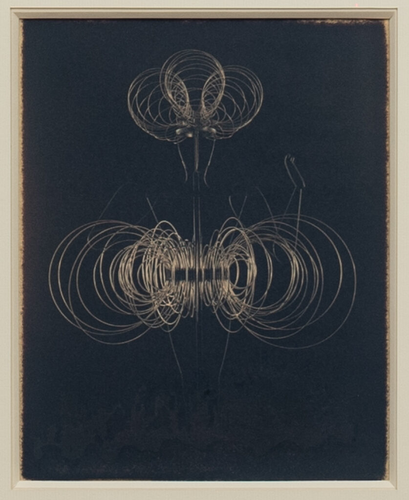 pair-of-photographs-of-Karen-Olsen-kinetic-study-by-Karl-Lagerfeld4