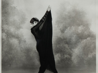 pair-of-photographs-of-a-model-and-fan-by-Karl-Lagerfeld4