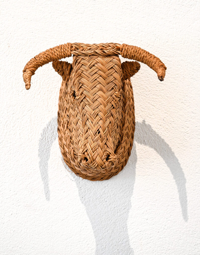 wicker-work-Bulls-head-22